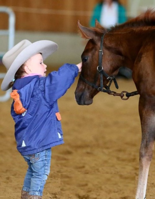 Früh übt sich … klein Nathalie und Fohlen. © Adria Bozai