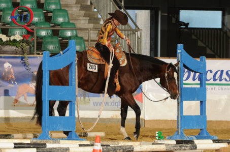 Linda Leckebusch-Stark an einem Hindernis in der Disziplin Trail © Art & Light