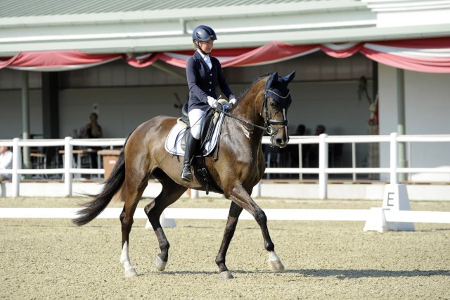 LippDagmar_FreiinCR_AllrounderChallenge_c_AndrasPetyus_horsesportsphoto (2)