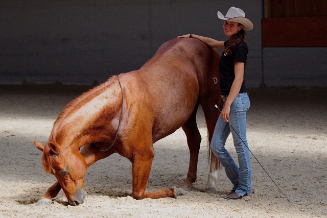 Nadine Gerber zeigt Grundlage für eine vertrauensvolle Partnerschaft zwischen Pferd und Mensch © Privat