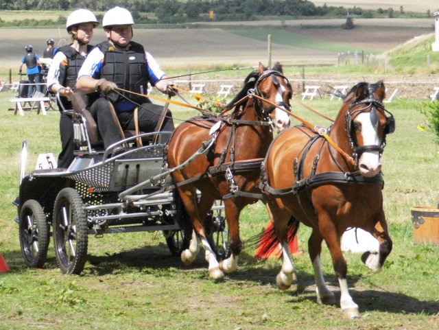 Olaf Gartlof mit Nightdream und Cumping Power Boy, Tandem-Fahren. © NNN