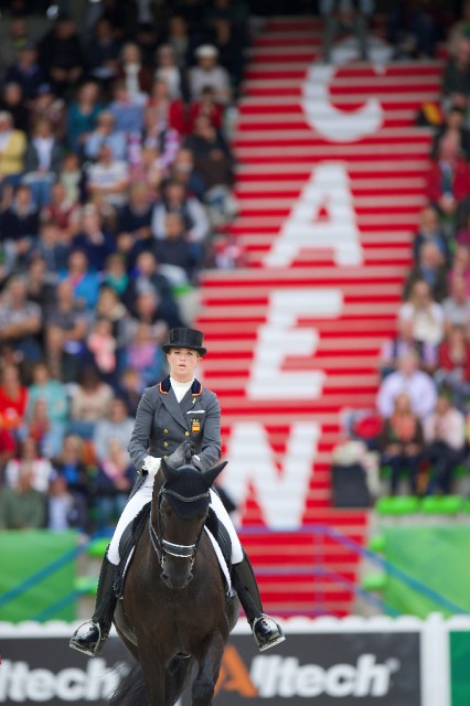 Painted Black und Morgan Barbancon bei der WM in Caen 2014. © FEI / Arnd Bronkhorst