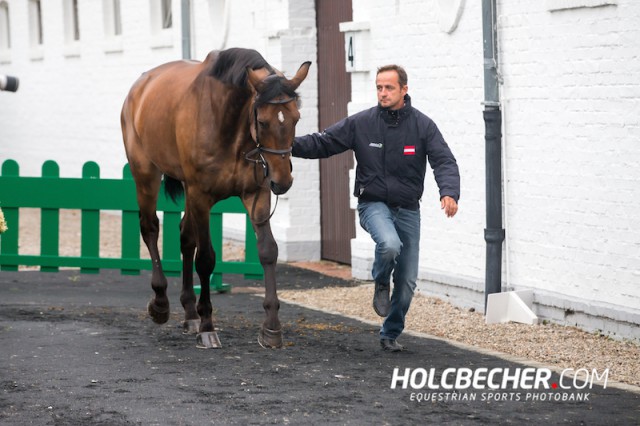 Roland Englbrecht (OÖ) und Mevisto´s Poorboy. © Tomas Holcbecher