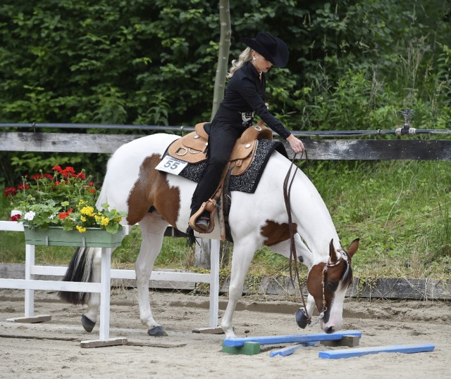 Sarah Maria Vorraber mit LIKE SMOKIN GUN. © sIBIL sLEJKO