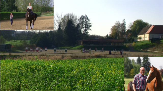 Springlehrgang 01.-04. Oktober 2015 am Schloss Gurhof © Schloss Gurhof