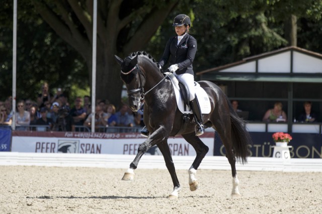 A year after winning the 5-Year-Old title, Sezuan, ridden by Germany’s Dorothee Schneider, returned to the FEI World Breeding Dressage Championships for Young Horses 2015 at Verden, Germany to top the 6-Year-Old category at the weekend. © FEI/Dirk Caremans 