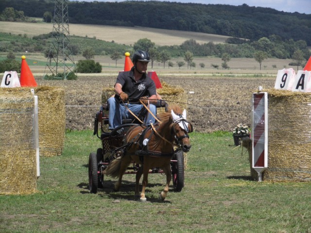 Sven Berhold mit Judy, 3. im Wanderpokal der Fahrgemeinschaft. © NNN