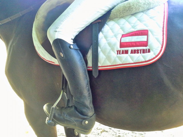 Team Austria ist bereit! © Team Austria