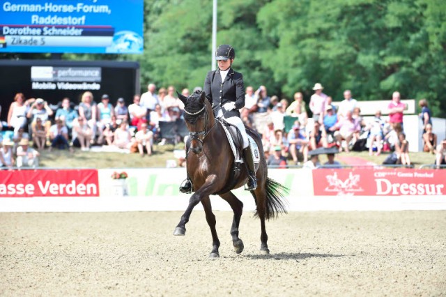 Trakehner Stute Zikade und Dorothee Schneider © Lafrentz