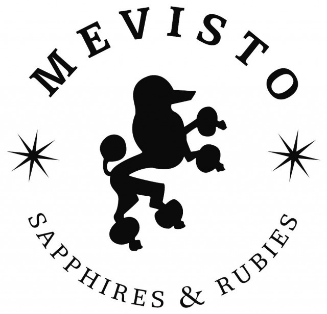 logo_mevisto