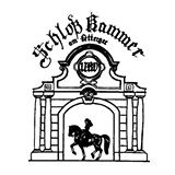 logo_schloßkammer