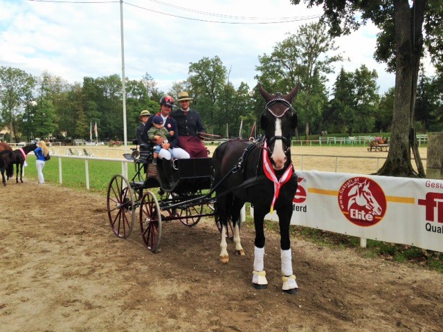 Thomas Blumschein holte mit Bailey den Bundeschampion-Titel der Fahrpferde und feierte mit Teamkollege Peter Englbrecht und dessen Söhnen. © Team Fixkraft