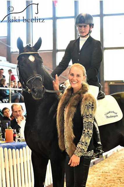 Die Preisspitze der Klosterhof-Herbstauktion, der dreijährige Hengst Descadero wird künftig von Kathleen Keller ausgebildet. © Kiki Beelitz