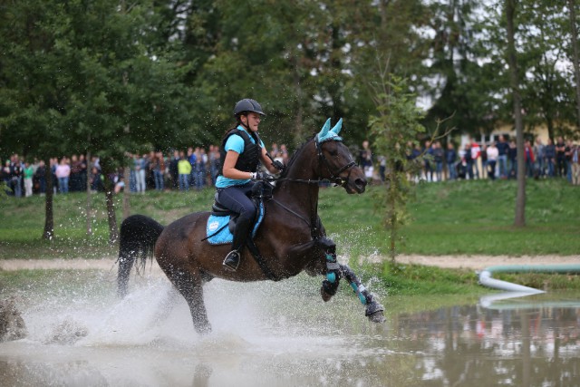 Bundeschampion der Vielseitigkeitspferde 2015 Grafenstolz Boy mit Reiterin Birgit Brandstetter. © Pferdeportal/Seiberl