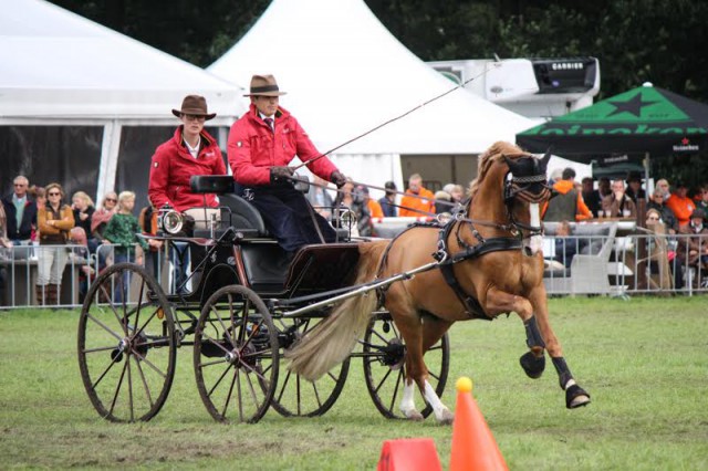 Fabian Gänshirt (GER), was absolutely thrilled to secure gold at his first World Pony Singles Championship in Breda (NED) with his eight-year-old German riding pony David L. © FEI/Krisztina Horváth
