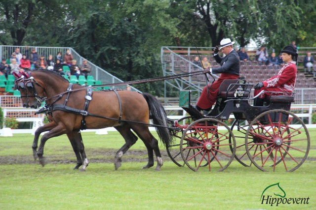 Vilmos Lazar fuhr zur Zwischenführung. © hippoevent.at