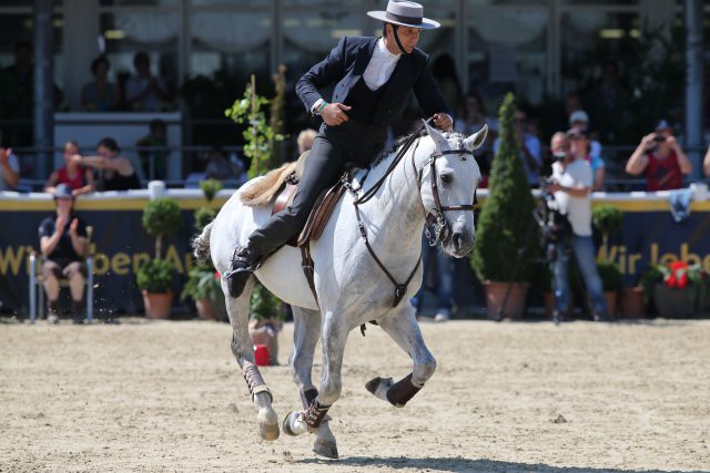 Bruno Pica Da Conceicao (POR) ist der Favorit beim Vienna Masters Working Equitation Turnier. © Tomas Holcbecher