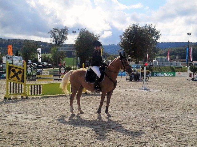Golden Joy H und Jana Schöpf (NÖ) waren in der EQWO.net Pony Grand Prix Qualifikation die Nummer eins. © EQWO.net