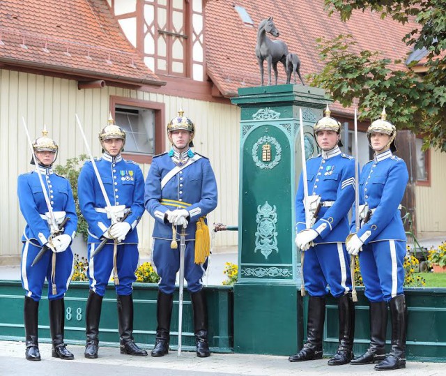 Zu Gast bei der ersten Marbacher Hengstparade am 27. September 2015: Eine Abordnung der königlich-schwedischen berittenen Leibwache. © Stephan Kube