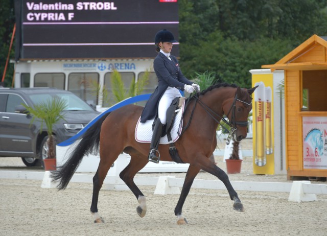 Ein Wochenende nach Maß für die junge Valentina Strobl: mit der feinen Hilfengebung und dem tollen Sitz konnte die Tirolerin auch am Samstag mit ihrer Cypria F auf ganzer Linie überzeugen. © Fotoagentur Dill