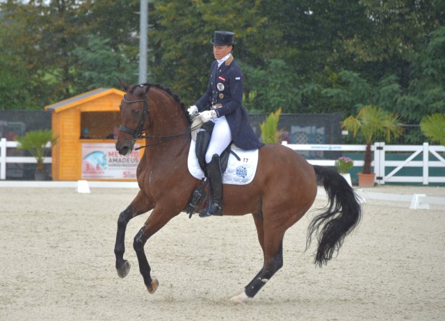 Die in Deutschland lebende Österreicherin Renate Voglsang (W) hat mit Fratello wieder ein Spitzenpferd im Stall. © Fotoagentur Dill