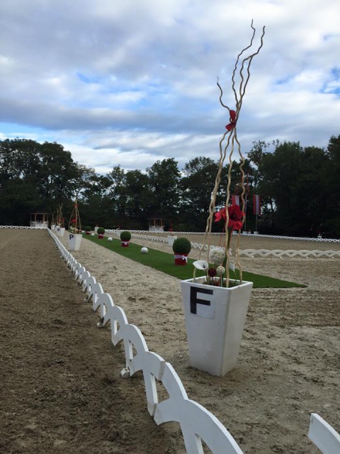 Bei besten Bedingungen wurden in Perchtoldsdorf die Medaillen in der Dressur vergeben. © Facebook Manuel Springhetti