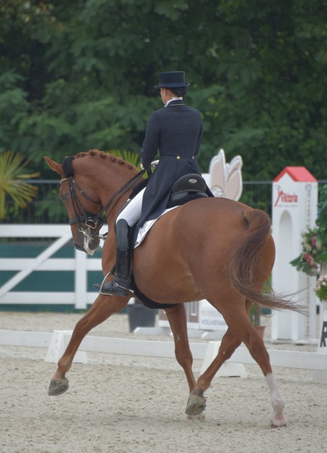 Timna Zach (St) konnte mit ihrem Quantico heuer bereits viele schöne Erfolge feiern: beim CDI3* Lamprechtshausen platzierte sich das Paar auf Rang vier mit 66.200%. © Fotoagentur Dill