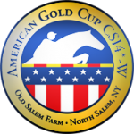 american-gold-cup-logo