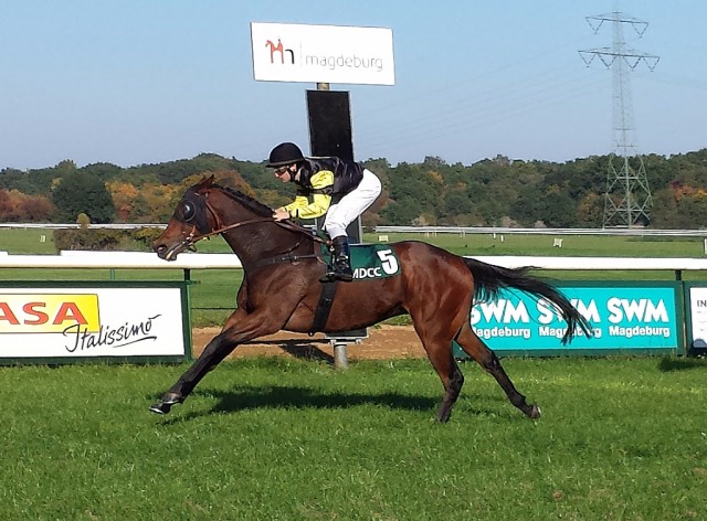 Adel verpflichtet unter Maxim Pecheur nach dem Start des 4. Rennen. © Nadja N. Naumann