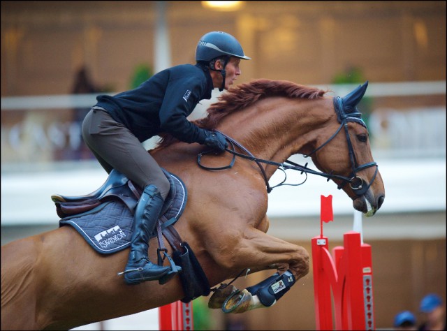 World Champion Warm up Equestrian Worldwide Pferdesport