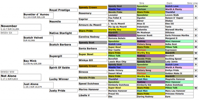 Born Along ist augenblicklich Österreichs bester Vertreter des Jahrgangs 2011 – sein Pedigree gibt Auskunft, warum dies so ist. © trabrennzucht.at