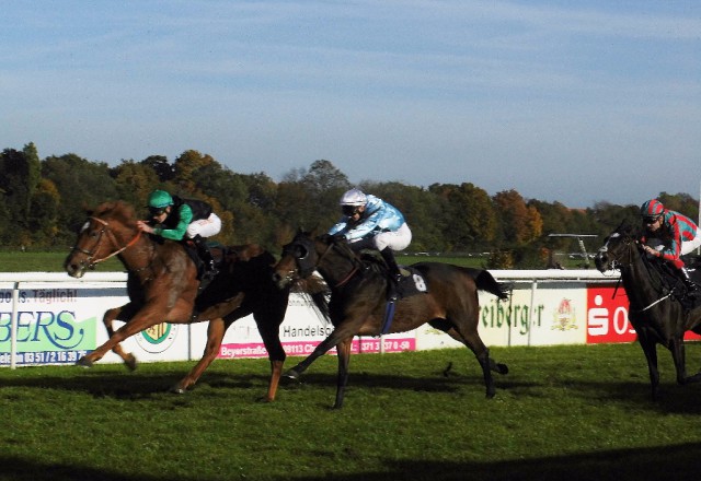 Tim Rocco gewinnt unter Michael Cadeddu vor Blooming Stars unter Andre Best und Termino unter Daniele Porcu. © Nadja N. Naumann