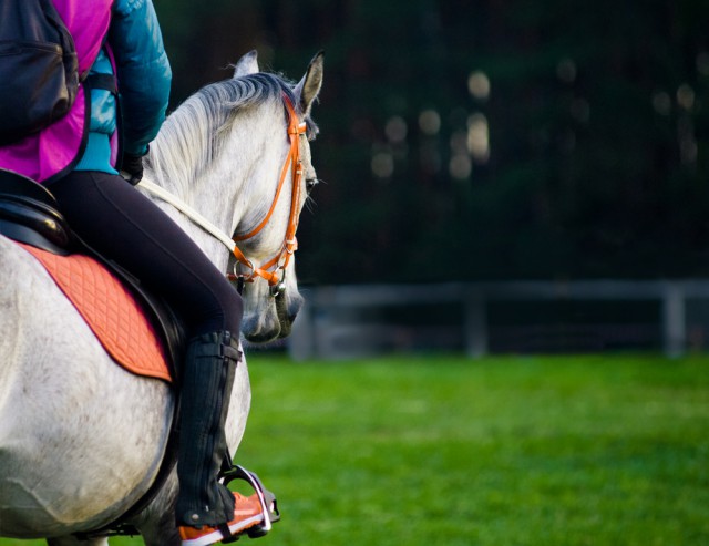 Welche Qualifikationen ein Distanz-Trainer erfüllen muss erfahrt ihr bei uns © Shutterstock