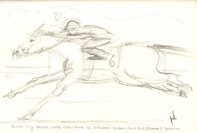 Sydney City unter Eugen Frank. © Nadja N. Naumann