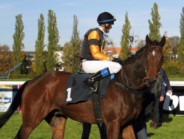 Andreas Helfenbein und Adel verpflichtet nach ihrem Sieg im 4. Rennen. © Nadja N. Naumann