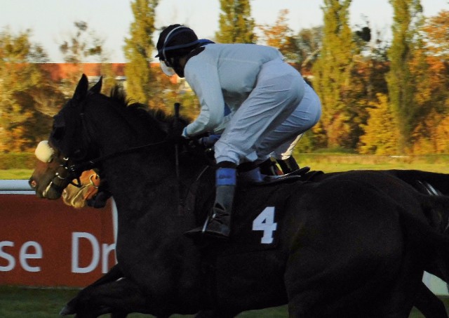 Start des 7. Rennens, vorn Valeron mit Andreas Helfenbein. © Nadja N. Naumann