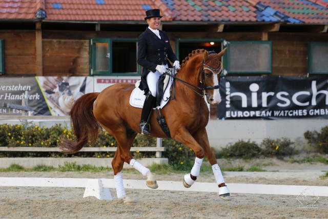 Angela Hergeth mit ihrem Hengst Don Shiraz. © Team Myrtill