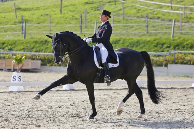 Parzival zeigte eindrucksvolle Trabverstärkungen unter Angela Hergeht. © Team Myrtill