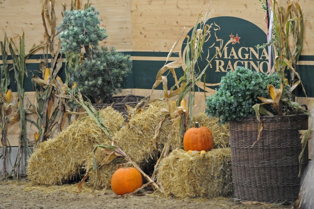 Herbstliche Deko auch in der Reithalle. © horsesportsphoto.eu