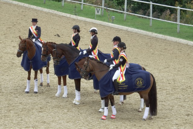 Die Kärntner Dressur Landesmeister 2015! © Privat