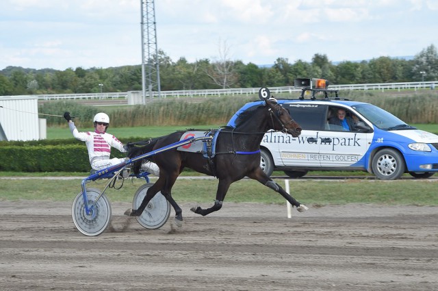 Born Alone bei seinem Sieg mit Carsten Milek in der Racino Breeders Crown am 20. September 2015. © Eduard Risavy/www.pferderennfoto.at