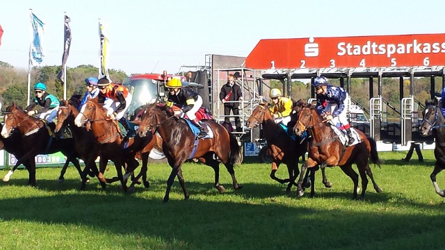 Boxen auf zum Preis der Stadtsparkasse Magdeburg. © Nadja N. Naumann