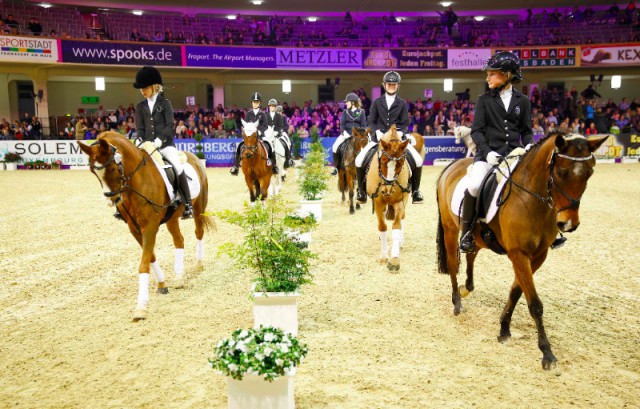 Schick gemacht und ganz konzentriert sind die Kandidaten im Reiterwettbewerb in Frankfurt. © Thomas Hellmann