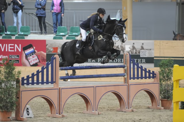 Beste Niederösterreicherin im 1,40 m S-Springen waren ALexandra Steiner und Fanatiker VH Dingeshof. © horsesportsphoto.eu