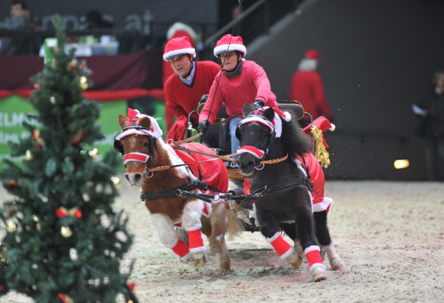 Jetzt beim Gewinnspiel mitmachen und Tickets für die Mevisto Amadeus Horse Indoors sichern! © Fotoagentur Dill