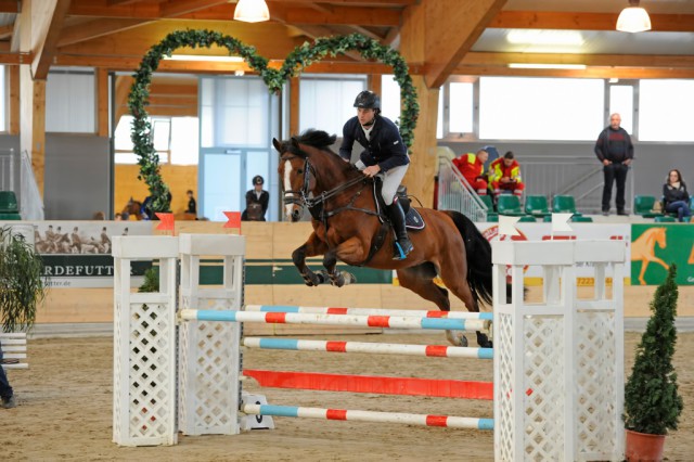 BrandstaetterMarkus_Innuendo_BW25_CSNB_Racino_11_2015_chorsesportsphoto.eu