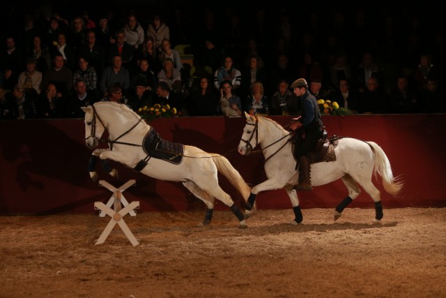 Gala-Abend 2014 © Olav Krenz