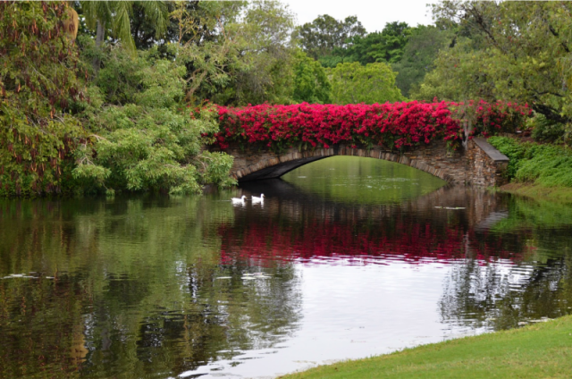 Deeridge Farms provides an idyllic setting for international show jumping. © Phelps Media