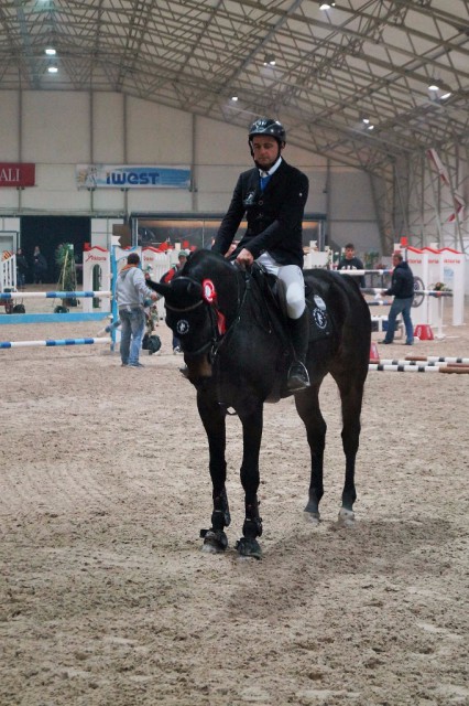 Beim CSN-B* Lamprechtshausen durfte Mevisto Reiter Roland Englbrecht mehr als nur einmal zur Siegerehrung einreiten. © Privat
