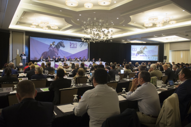 FEI General Assembly 2015. © FEI/Richard Juilliart